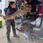 korban berhasil diselamatkan oleh tiga Taruna Akademi Kepolisian (Akpol) peserta Latihan Integrasi Taruna Wreda Nusantara (Latsitardanus) XLVI.  Peristiwa tersebut terjadi pada Jumat, (30/01/2026), sekitar pukul 16.45 WIB